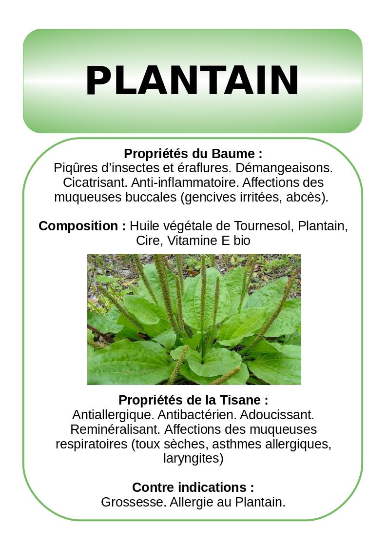 affiche plantain